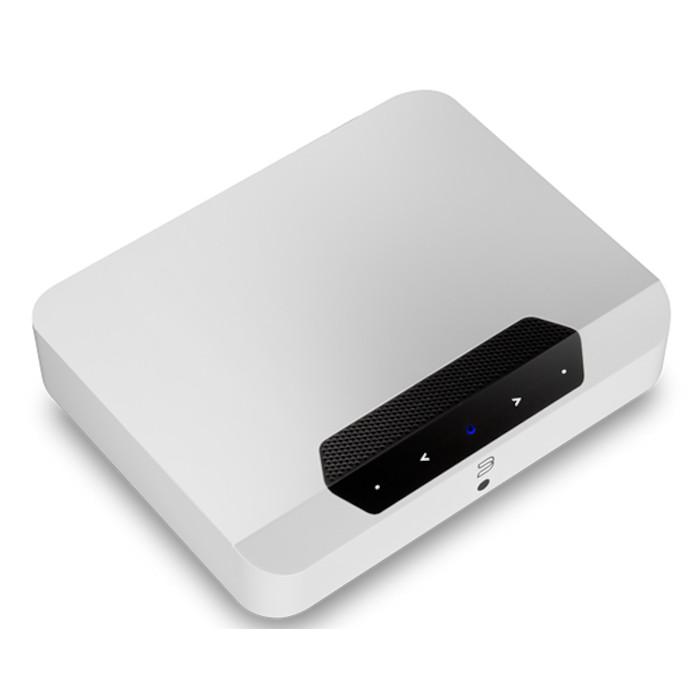 キャンペーン2つ実施中、併用可】Bluesound POWERNODE EDGE