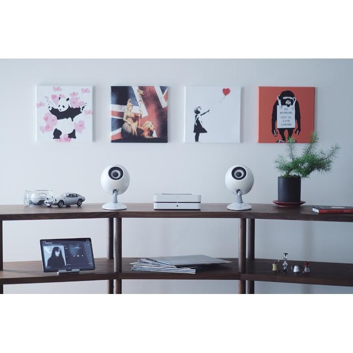 ECLIPSE TD307MK3 1本 ホワイト 6.5cm口径フルレンジスピーカー