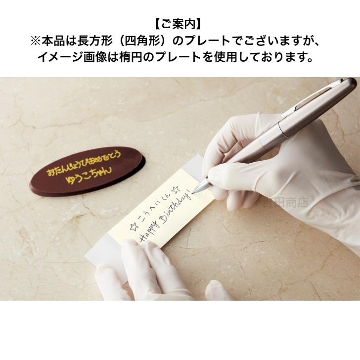 クール便 四角 長方形 チョコレートプレート 転写シート付 個包装