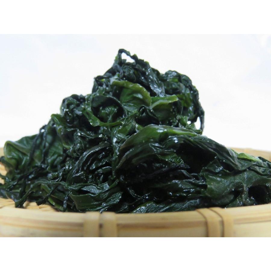 わかめ畑 210506_00900_1624451085318_400.jpg