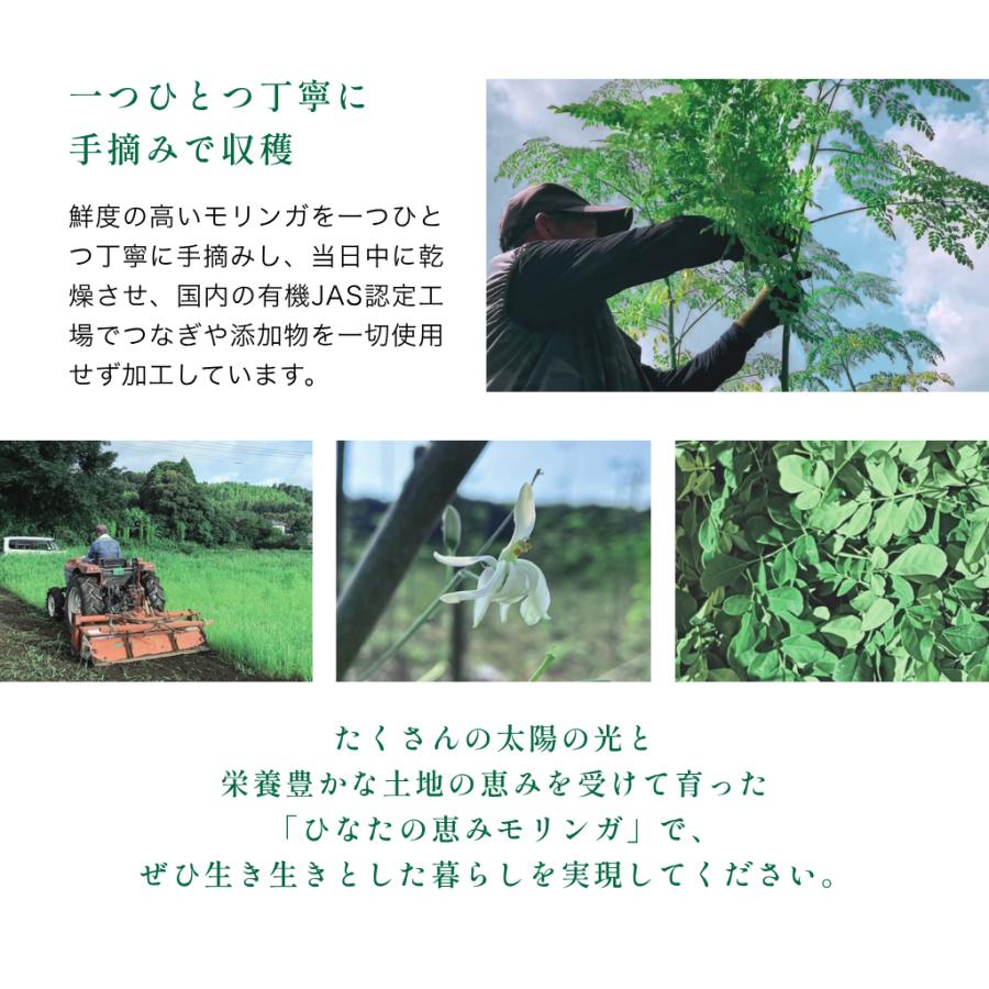 医師監修】モリンガ パウダー 50g 国産 100％ モリンガ茶 ひなた