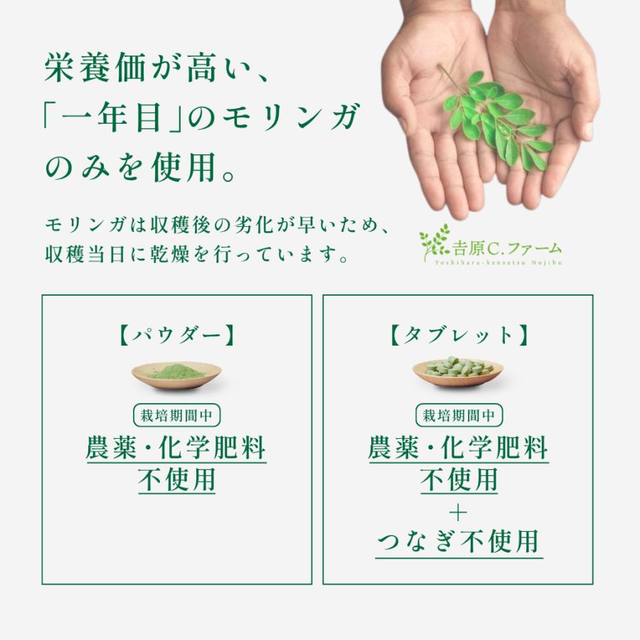 医師監修】モリンガ パウダー 50g 国産 100％ モリンガ茶 ひなた