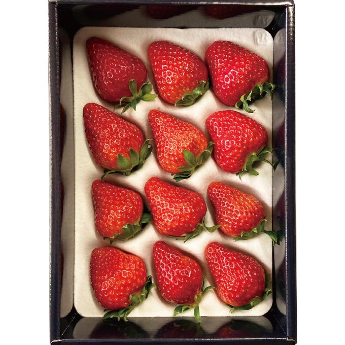 いちご 贈答用 朝摘み紅ほっぺ 12粒 380ｇ 送料無料 岡山県産 イチゴ 苺 | 