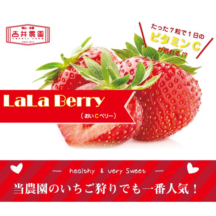 いちご 朝摘みLaLa Berry（おいCベリー） 4パック 1kｇ 送料無料 岡山県産 イチゴ 苺 |  | 01