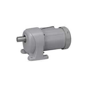 ニッセイ　ギアモーター　G3L22N30-MM02TNNTN