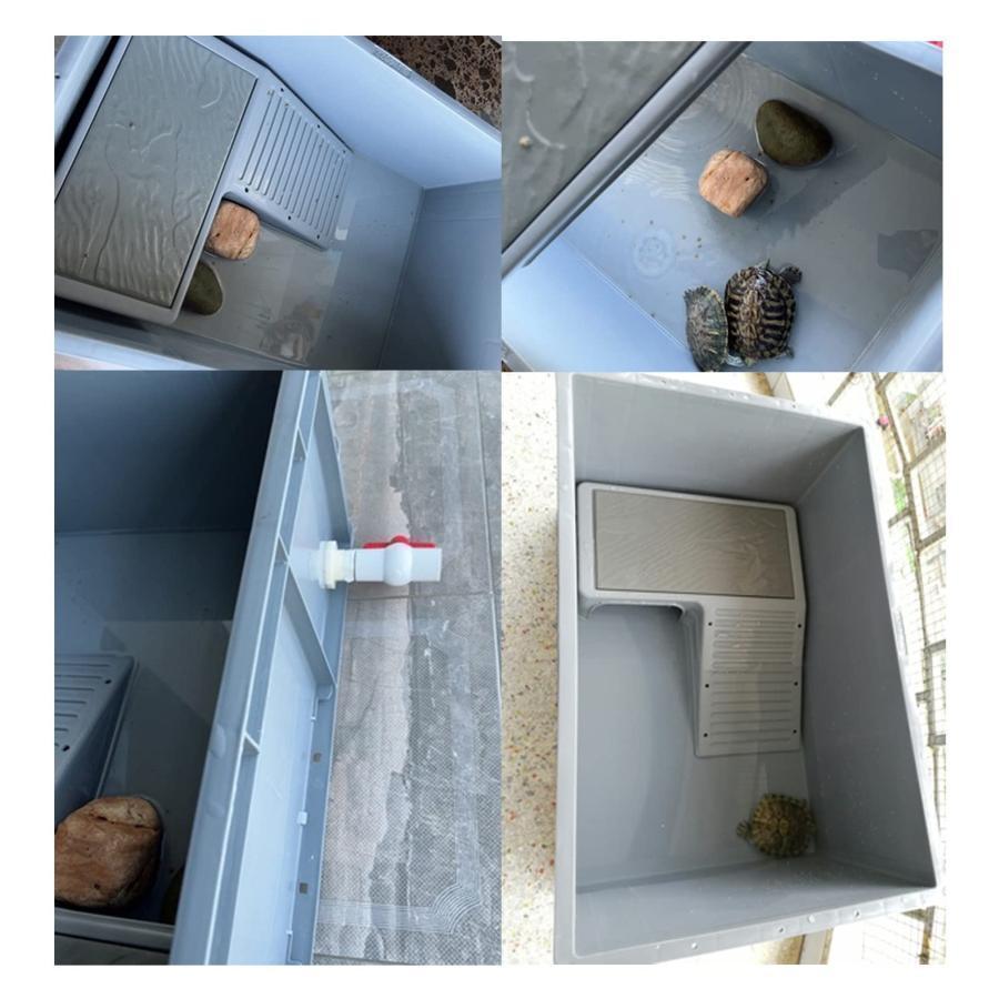 大型プラスチック水槽 グレー・緑 Amazon | 亀飼育用水槽 大型プラスチック水槽 大型カメ飼育