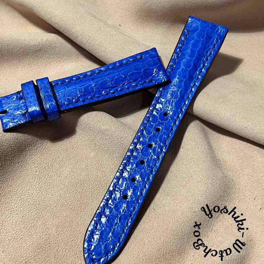 sna-47 シースネイク（ウミヘビ） 腕時計ベルト ブルー (ラグ幅19mm