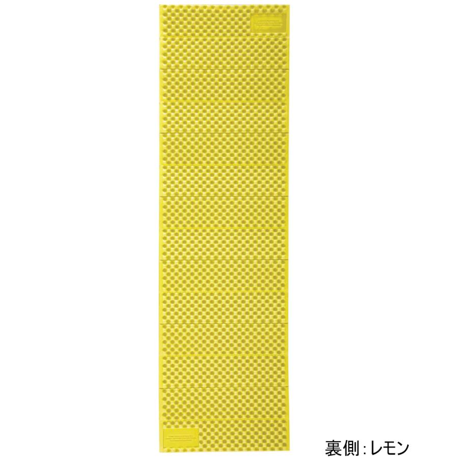 サーマレスト Zライトソル レギュラー (183cm/410g) 30xxx 国内正規品