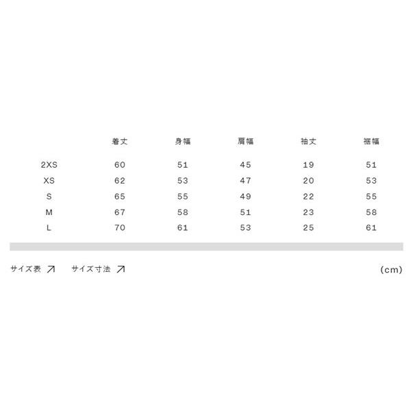 icebreaker アイスブレーカー 150 メリノ ストライプ ショートスリーブ ティー（ユニセックス）IB0A5795 26SS 海外サイズ 国内正規品　_4