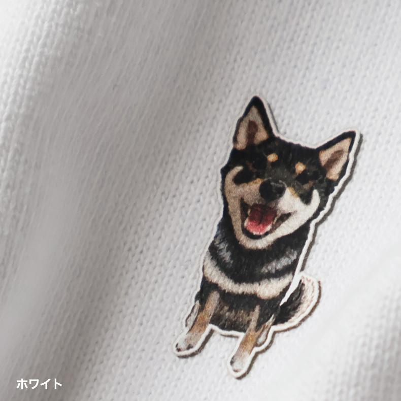 柴犬！ JXK Studio 1/6 JXK090A 家に帰りたくない 柴犬 Don't Go Home