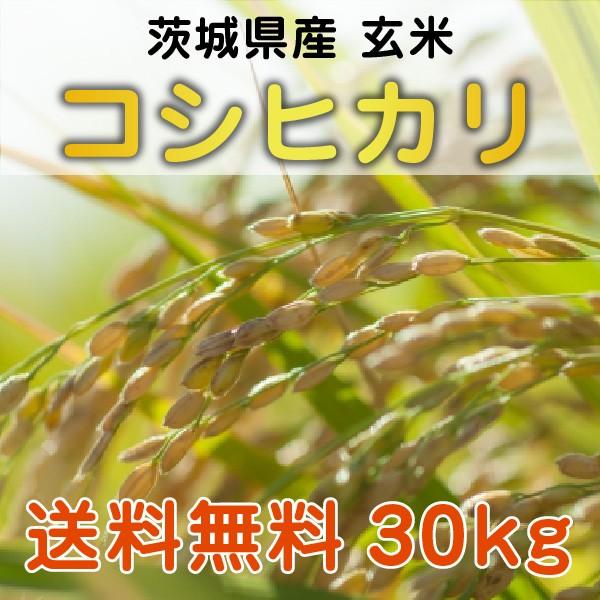 【2020年度新米できました！】茨城県産コシヒカリ 30kg 玄米（精米無料） :genmai30:甘ちゃんとまとの吉野農園 - 通販