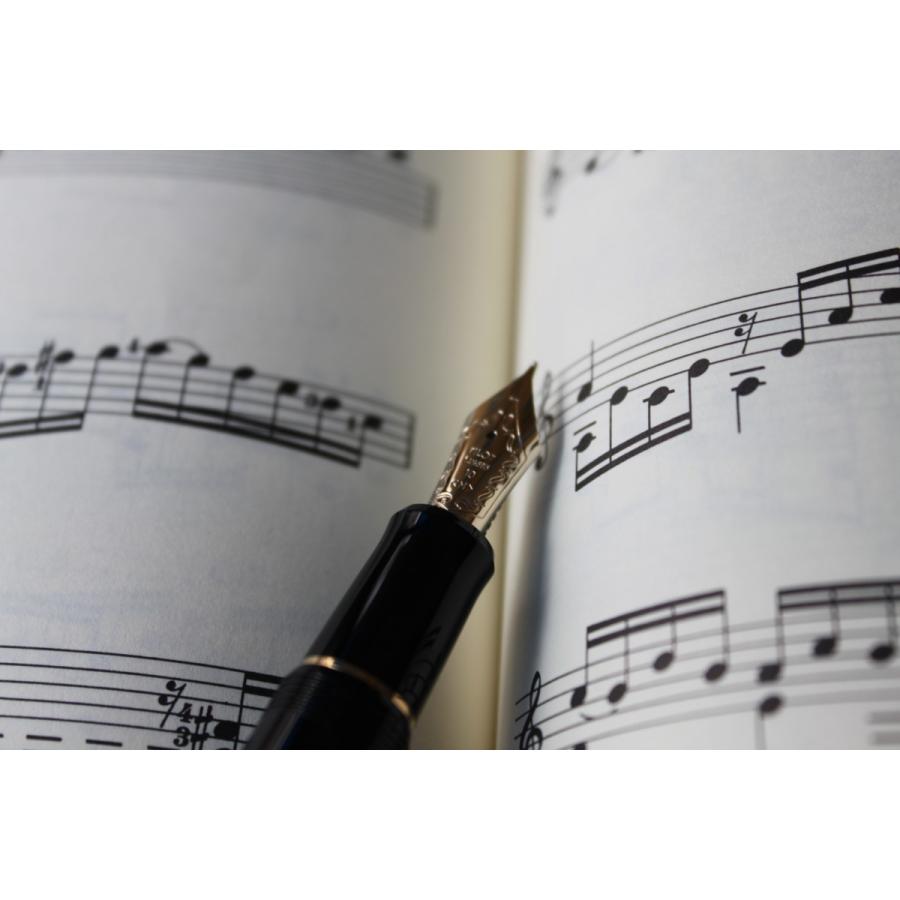 PILOT（文具） PILOT 万年筆 カスタム742 ブラック FKK-2000R-B