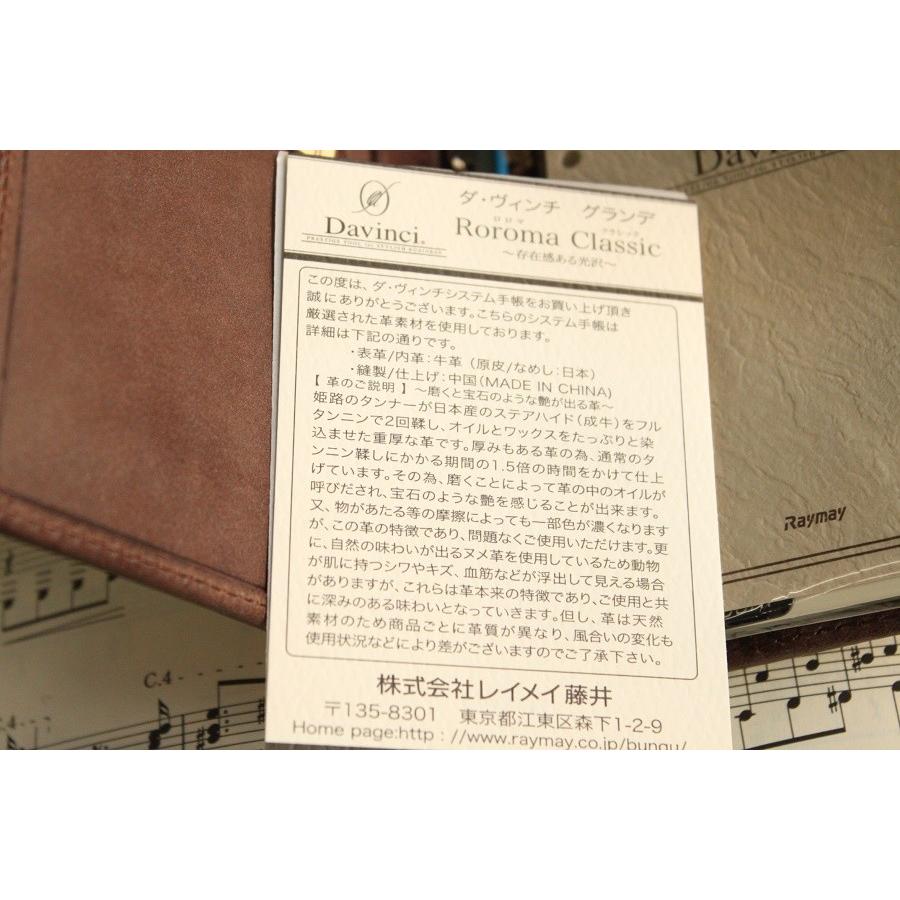 ダ・ヴィンチ Davinci GRANDE Roroma Classic ポケットサイズシステム