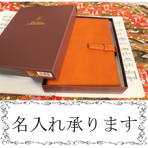 ダ・ヴィンチ Davinci GRANDE All Earth A5サイズシステム手帳 