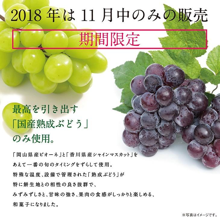 シャインマスカット3個　ピオーネ3個　出雲よしおかジュエリーボックスSPオパールのぶどう DAIFUKU　島根県出雲市のフルーツ大福 |  | 01