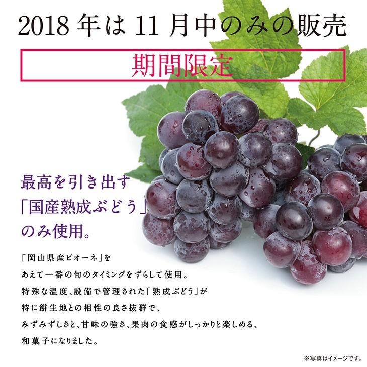 ピオーネ6個　出雲よしおかジュエリーボックスSPオパールのぶどう DAIFUKU　島根県出雲市のフルーツ大福 |  | 01