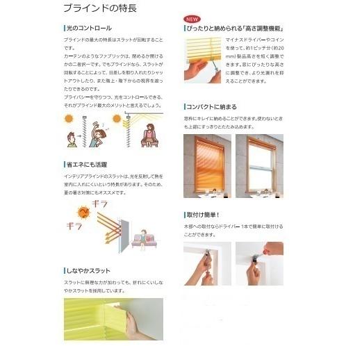 事務所用店舗用オーダーブラインド 幅161 180cm高11 300cm タチカワ機工ファーステージ標準タイプ Tk Fsb18 インテリアヨシオカ 通販 Yahoo ショッピング