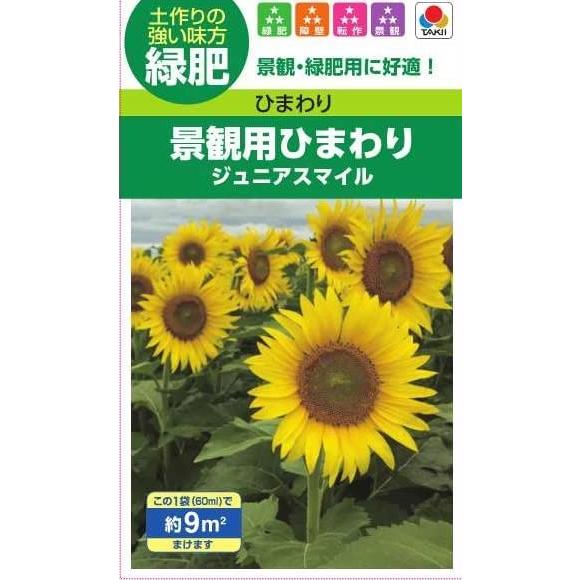 販売終了商品 緑肥景観用種 NL緑肥 緑肥用ひまわり ジュニアスマイル