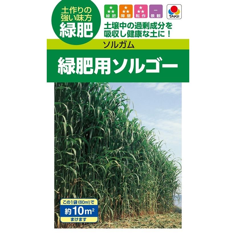 国内在庫 緑肥景観用種 NL緑肥 緑肥用ソルゴー 小袋 BSG558 緑肥 景観用の種 タキイのタネ ガーデニング 国内在庫 緑肥景観用種 NL緑肥 緑肥用ソルゴー 小袋 BSG558 緑肥 景観用の種 タキイのタネ ガーデニング