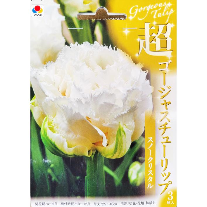 超ゴージャスチューリップ スノークリスタル(八重フリンジ白) 3球入り