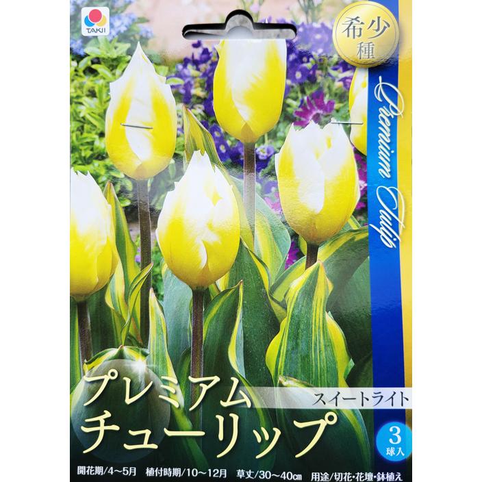 プレミアムチューリップ スイートライト 3球入り 秋植え球根