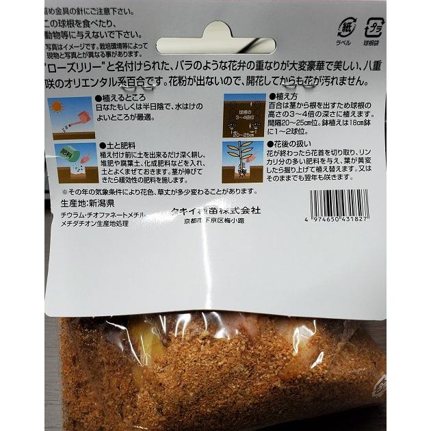 ゆり・ローズリリーアヌースカ 球根 1球入り : 吉谷農芸Yahoo!店