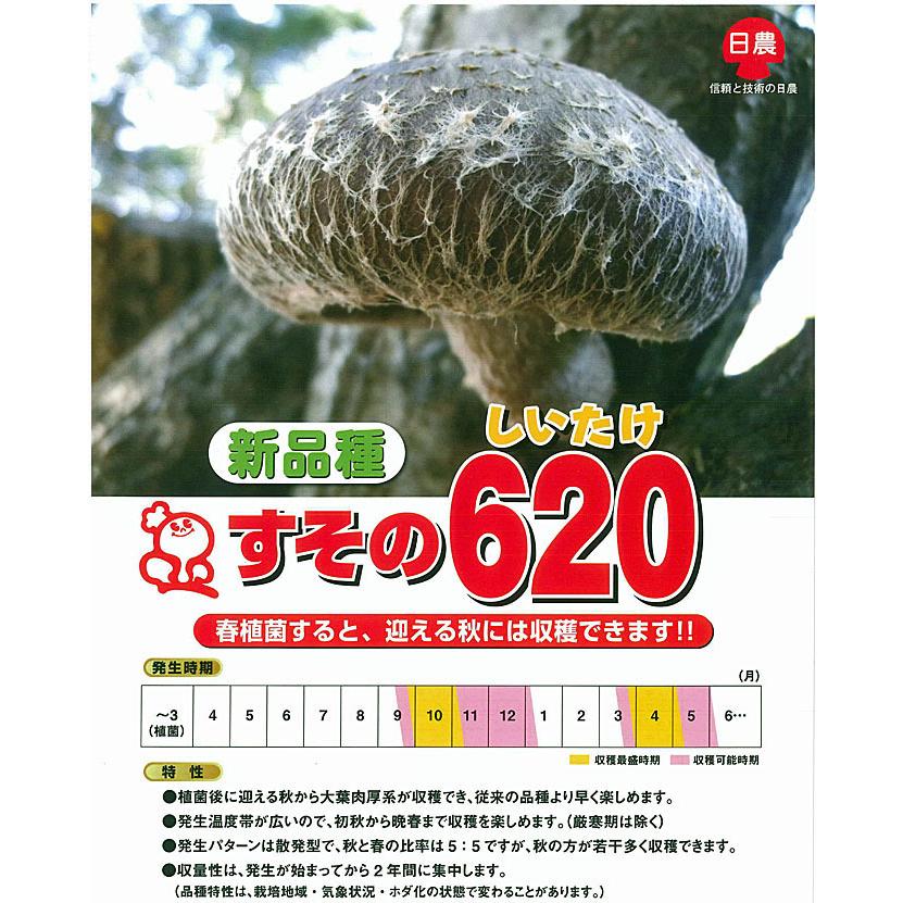 PVP きのこ種駒 シイタケ すその620 500個 丸棒型 【しいたけ種駒