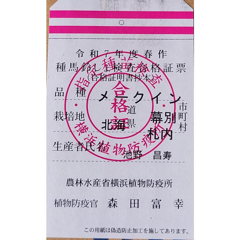 じゃがいも種子 メークイン 北海道産 1kg S〜Mサイズ混合（kg/約16