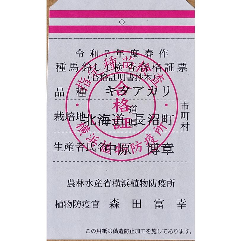 じゃがいも種子 キタアカリ 北海道産 1kg S〜Lサイズ 【馬鈴薯種