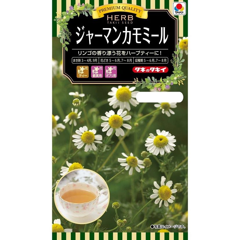 NLハーブ種子 ジャーマンカモミール ATY617 【タキイのタネ】 : 吉谷
