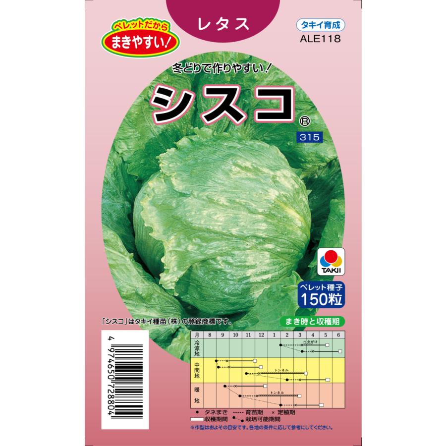 結球レタスの苗　400苗　品種「逸香」 逸香｜結球レタス｜レタス｜商品情報 - 野菜 | 横浜植木