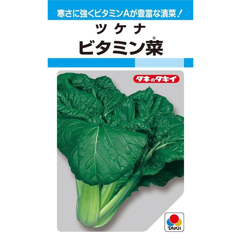 ツケナ ビタミン菜 7ml 【野菜種子】 : 吉谷農芸Yahoo!店 - 通販