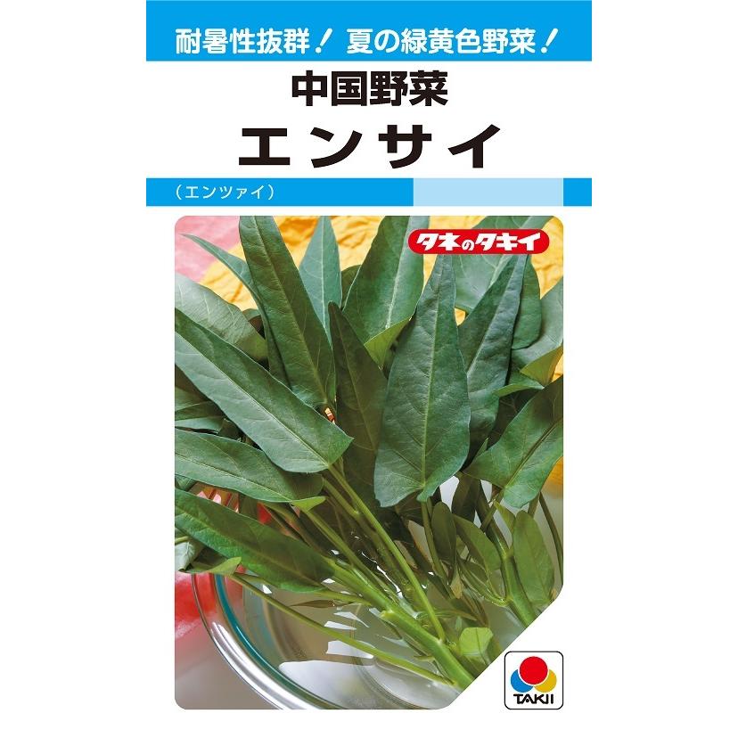 中国野菜　エンサイ　13ml　【野菜種子】