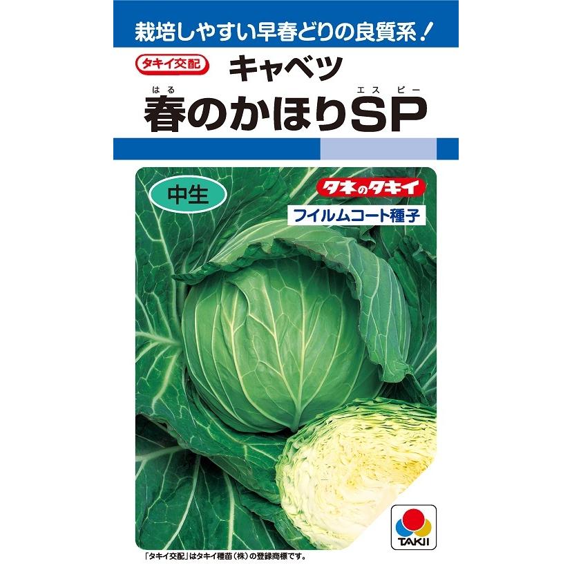 春のかほりSP キャベツ種子 150粒 中早生種 【タキイ種苗】 : 吉谷農芸