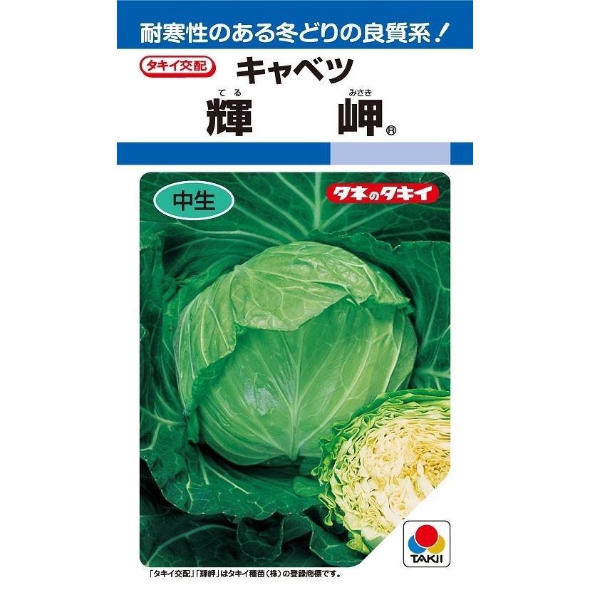キャベツ苗　200本　冬魂 輝岬 キャベツ種子 2000粒 【タキイ種苗】 : 吉谷農芸Yahoo!店 - 通販
