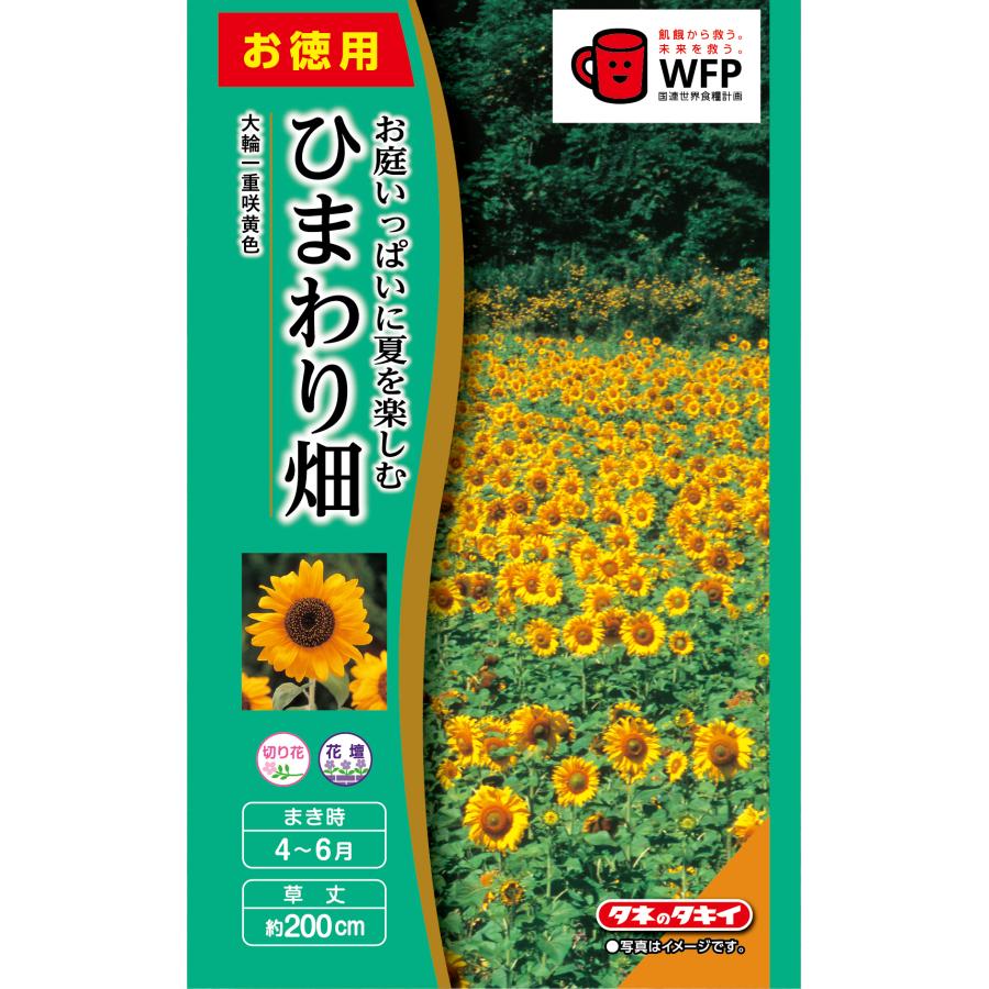 お徳用 ひまわり畑 大輪一重咲黄色 小袋 [FHM105]【花の種】【タキイの