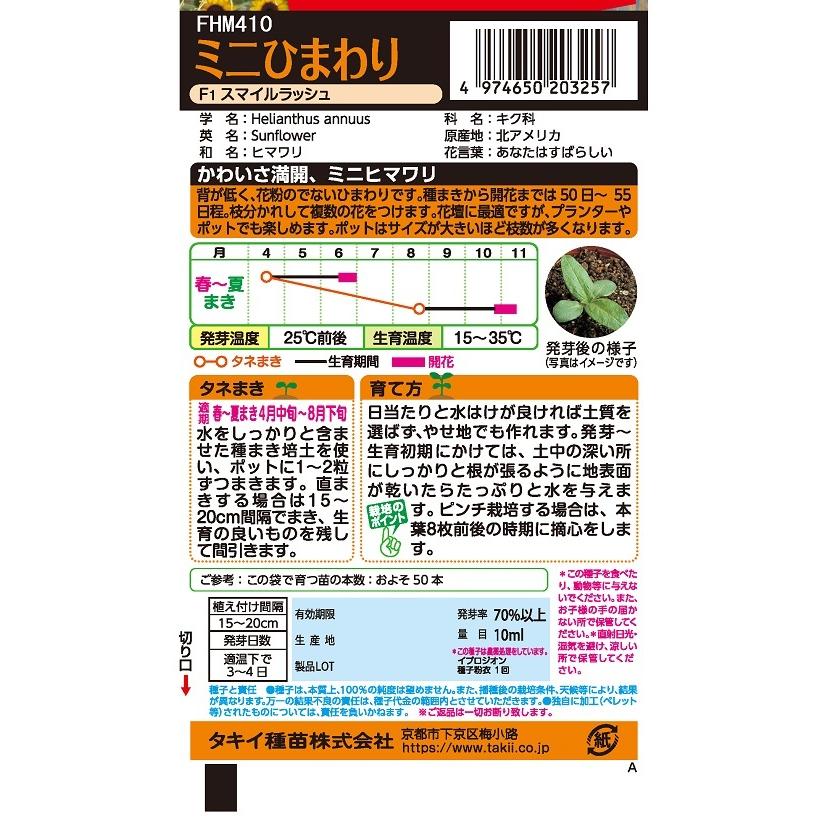 花種 お徳用 ミニひまわり スマイルラッシュ 小袋 [FHM410]【花の種