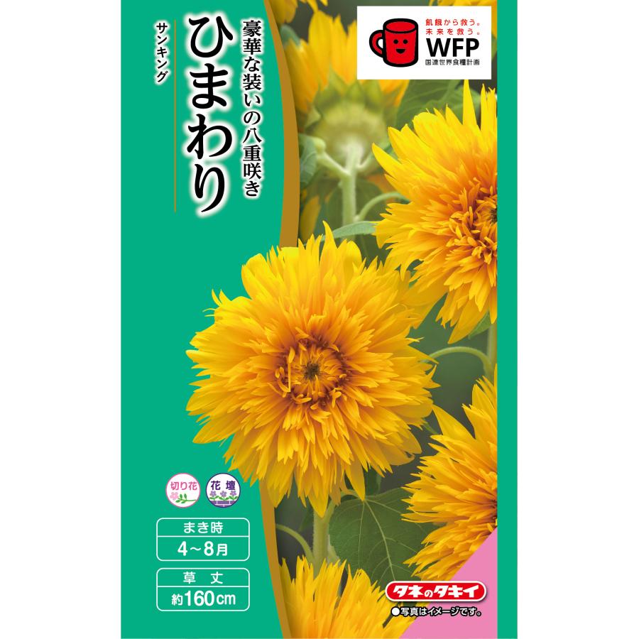 お徳用 ひまわり サンキング [FHMA42]【花の種】【タキイ交配