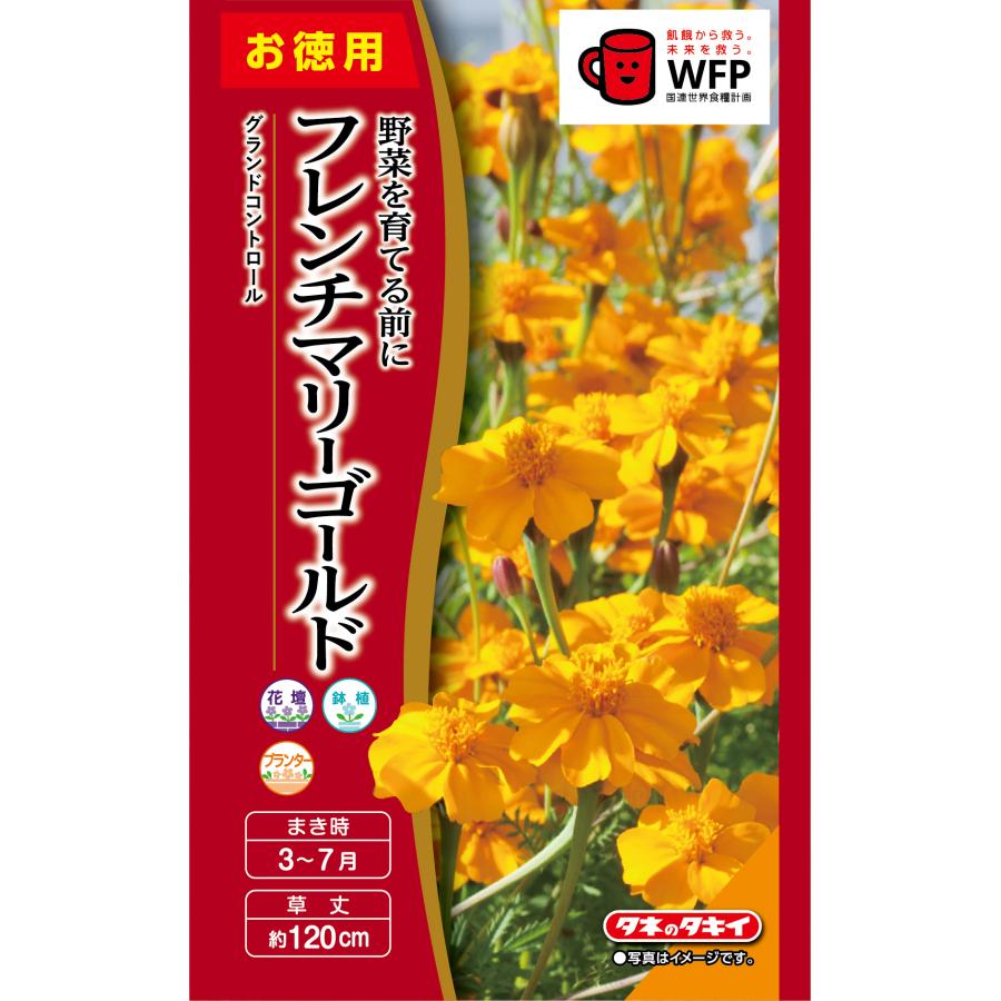 お徳用 フレンチマリーゴールド グランドコントロール [FKJA00]【花の