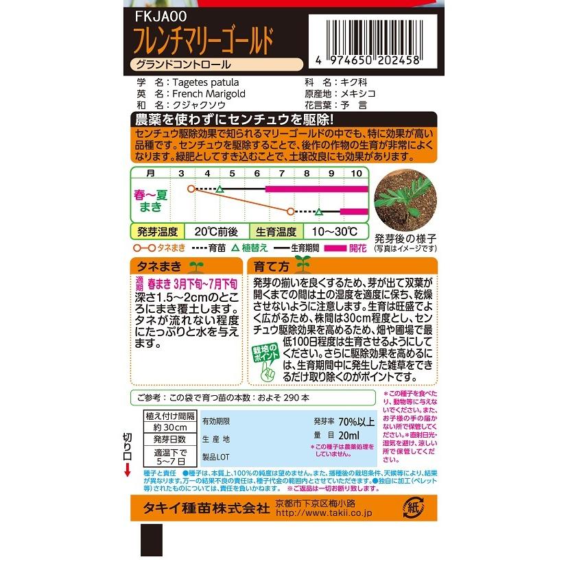 お徳用 フレンチマリーゴールド グランドコントロール [FKJA00]【花の