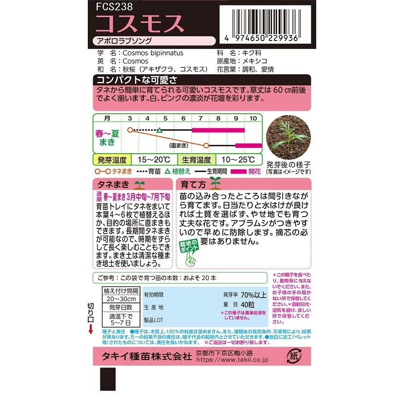 フラワー　お値引き Z/Xを予約してPRカードをもらおう！キャンペーン ｜ Z/X -Zillions of