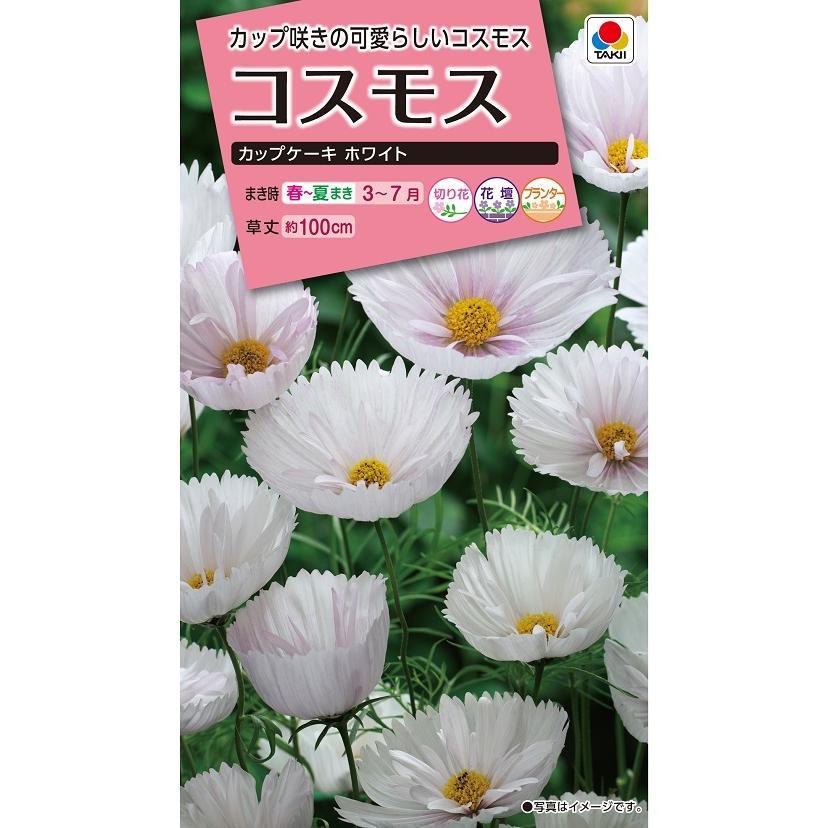 花種 小袋 NL300 コスモス カップケーキホワイト 小袋 [FCS273]【花の