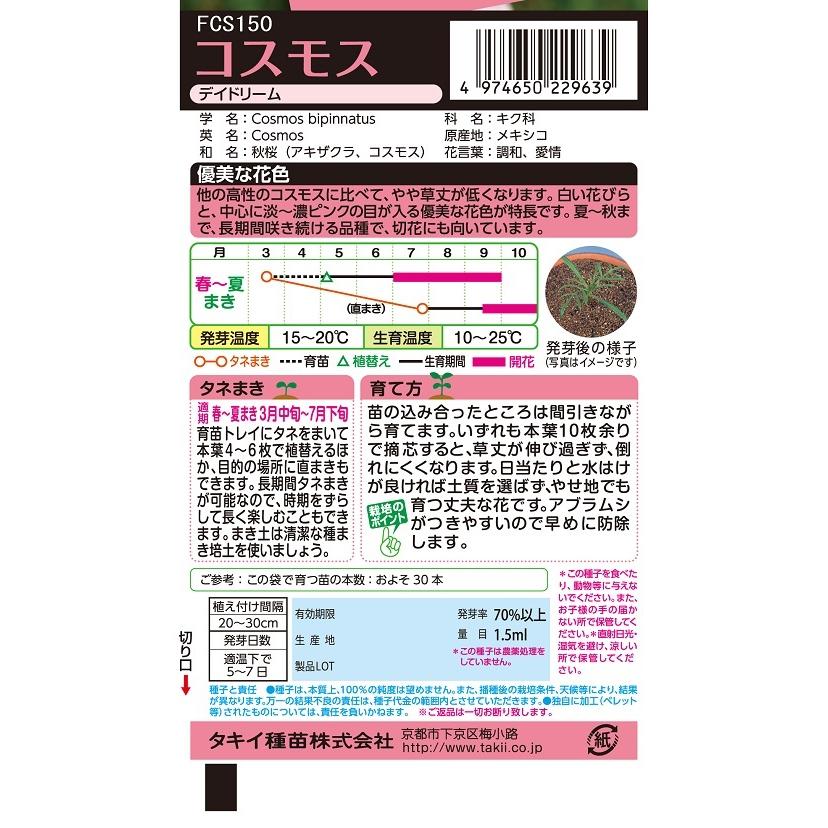 花種 NL300 コスモス デイ ドリーム 小袋 [FCS150]【花の種】【タキイ