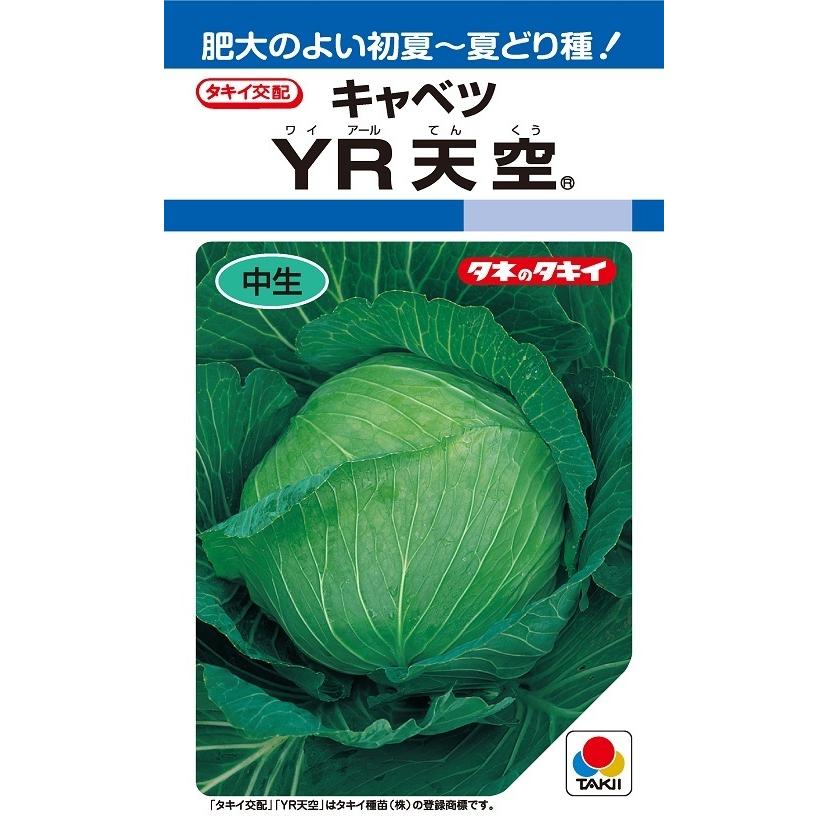 YR天空 キャベツ種子 2000粒 晩抽 【タキイ種苗】 : 吉谷農芸