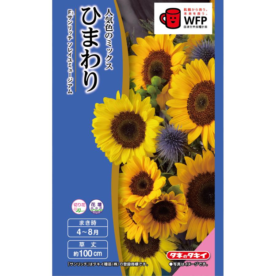 ひまわり4 花種 NL300 ひまわり サンリッチソレイユミュージアム 小袋 [FHM510
