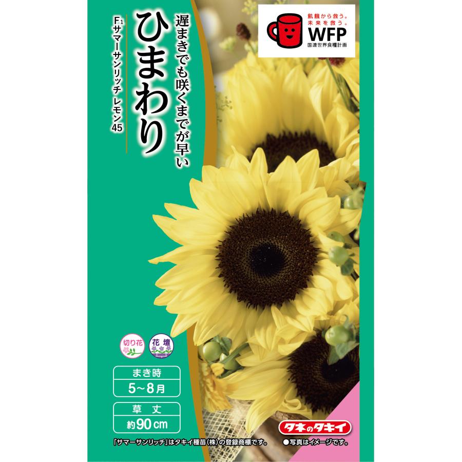 花種 NL300 ひまわり F1 サマーサンリッチ レモン45 小袋 [FHM517]【花