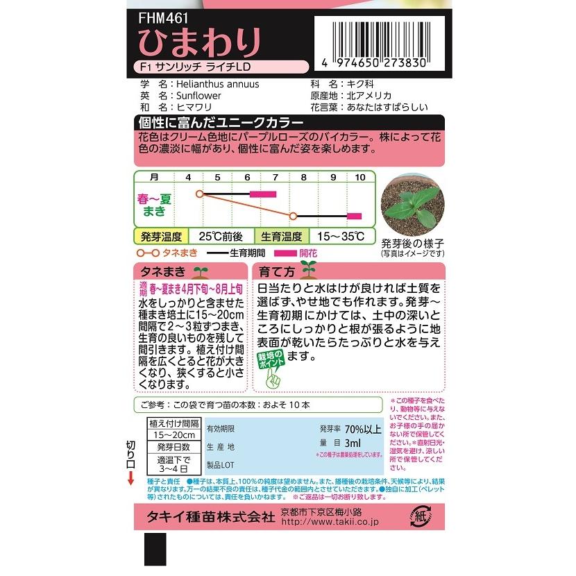 花種 NL300 ひまわり F1 サンリッチライチLD 小袋 [FHM461]【花の種