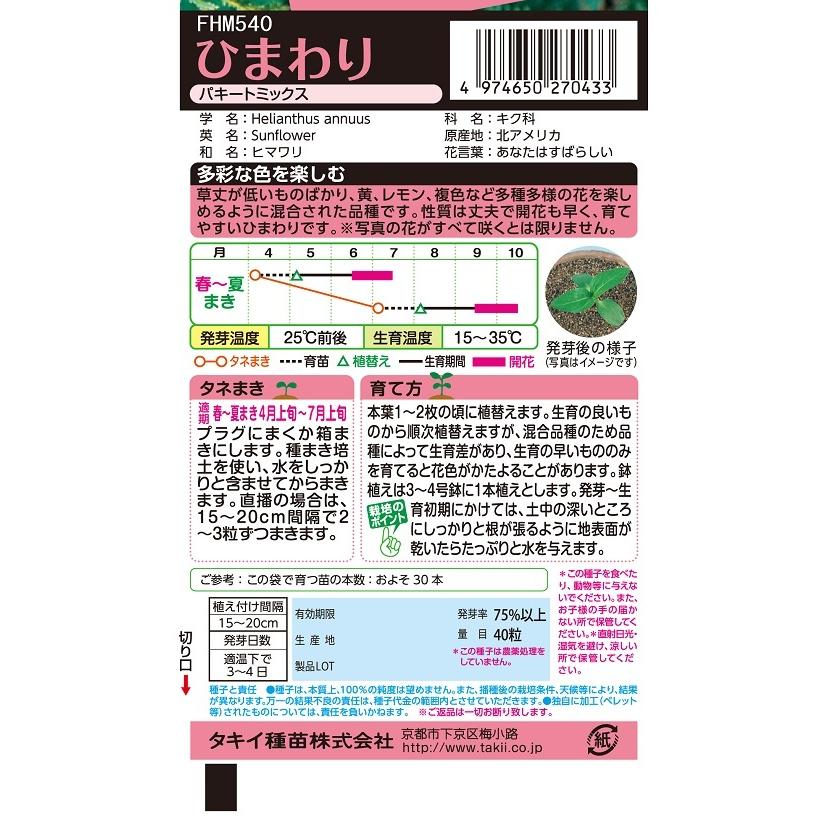 花種 NL300 ひまわり パキートミックス 小袋 [FHM540]【花の種