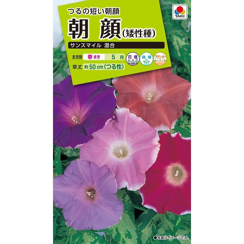 花種 NL200 朝顔 （矮性種） サンスマイル 混合 小袋 [FAA430]【花の種