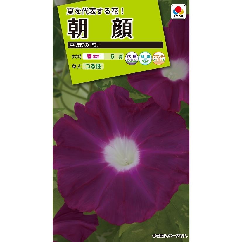 花種 NL200 朝顔 平安の紅 小袋 [FAA508]【花の種】【タキイのタネ